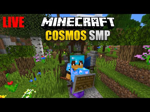 Βαψομαλλιάς παίζει Minecraft (Cosmos SMP LIVE) - Βαψομαλλιάς παίζει Minecraft (Cosmos SMP LIVE)