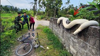 Two brave soldiers used high-tech snake detectors to find a giant python nest.