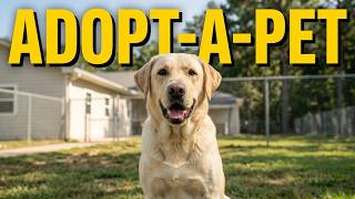The Best Kept Secret in Mason County: Adopt-A-Pet