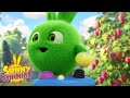 HOPPER THE GAMER | Sunny Bunnies | Cartoons for Kids | WildBrain Bananas