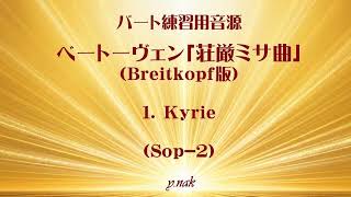 その他 Missa Solemnis [Blu-ray] [Import] khxv5rg Amazon.com: Missa Solemnis : Nikolaus Harnoncourt: Movies & TV