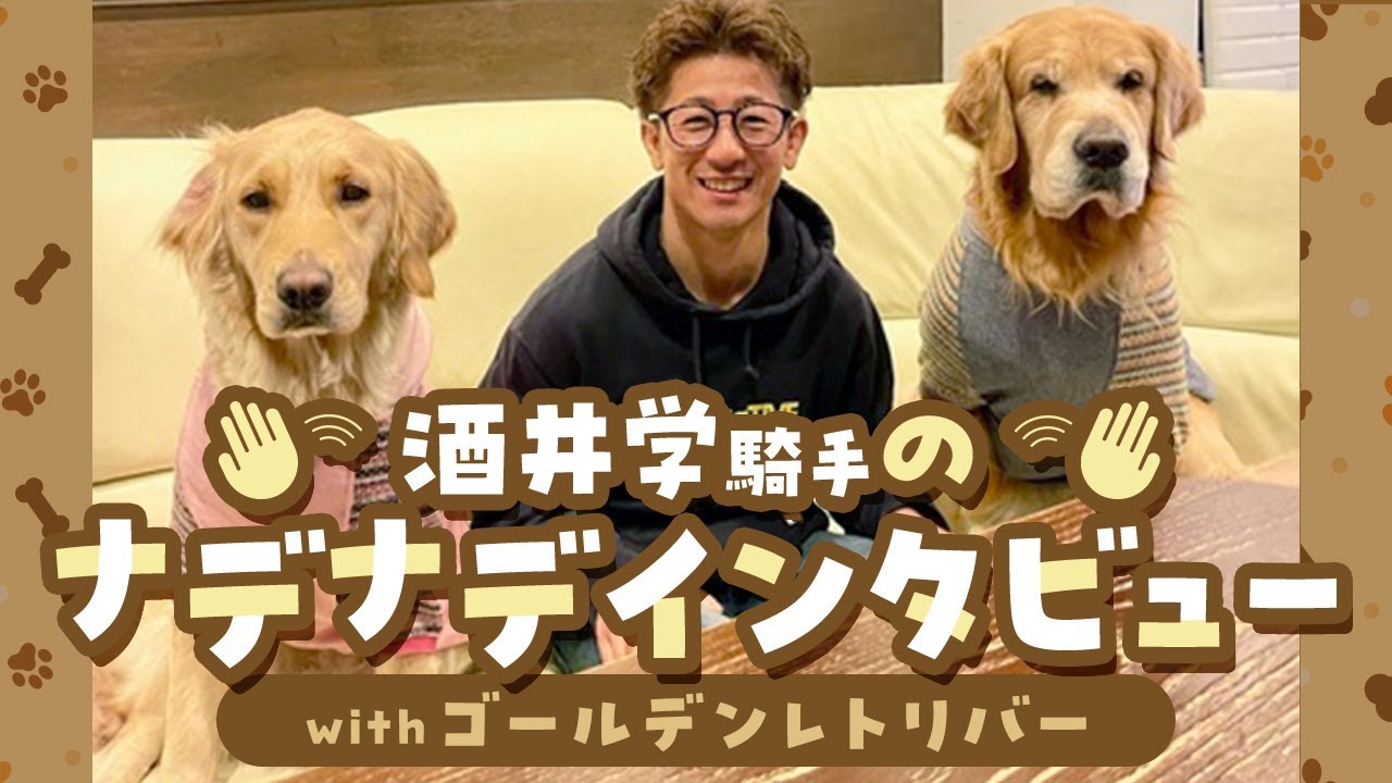 酒井学騎手に聞くナデナデの秘密withゴールデンレトリバー