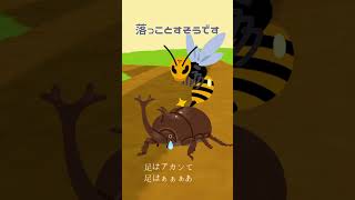 【雑学】カブトムシ、しゃーなく夜行性していた #shorts