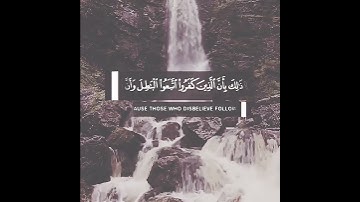 آيات تحث على التأمل والتفكر من القرآن الكريم 🌹 سعيد الخطيب حالات واتس اب دينية قصيرة مؤثرة تلاوة