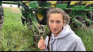 Fixing the Planter (SEND SNACKS!!)