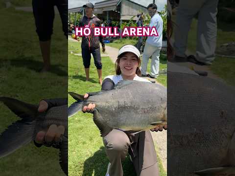 Đi săn hàng hồ câu Bull Arena Bà Rịa #vyhanfishing #bullarenafishingpark