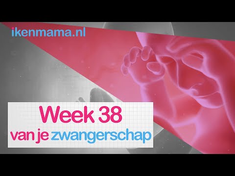 Video: 38 Weken Zwanger - Maag, Afscheiding, Pijn