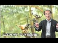 カブトVSクワガタ　Rhino beetle VS Stag beetle Part2