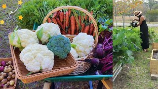 #1 |  6 Months Growing a Vegetable Garden  | From an Empty Backyard to a Garden | Countryside Life