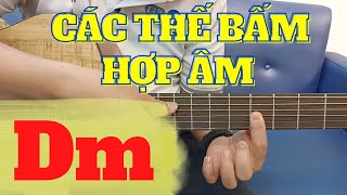 The fingerings for the D minor chord (Dm) on guitar | Nguyen Xuan Tung | Learn guitar online for ... screenshot 4