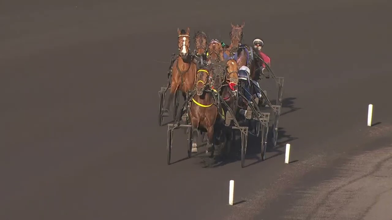 PRIX DE SELECTION - PRIX FACE TIME BOURBON 2026