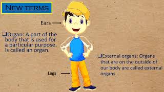 Lesson 15  Our Body (EVS STD 3)
