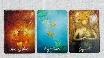 "What You Need to Know Right Now" *Pick a Card* (Timeless Tarot)