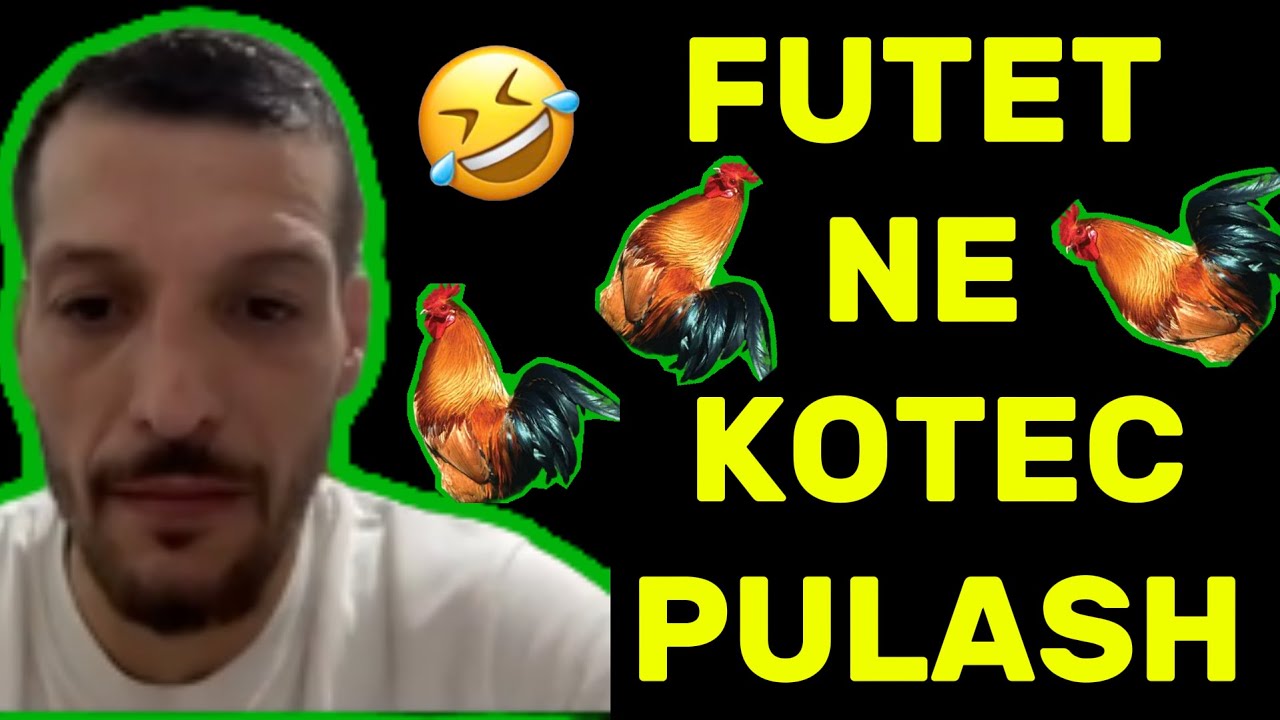 Klevis Celaj futet ne kotecin e pualve lott 😂