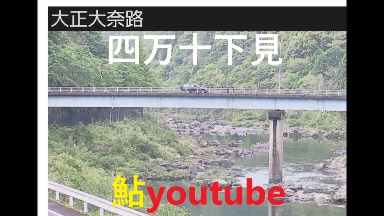 鮎youtube 四万十本流 下見&初釣り2025
