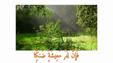 آيات بينات من سورة طه بصوت هادئ|القارئ :عبد الفتاح أزيفان 🧡#القرآن_الكريم #quran #الراحة_النفسية 