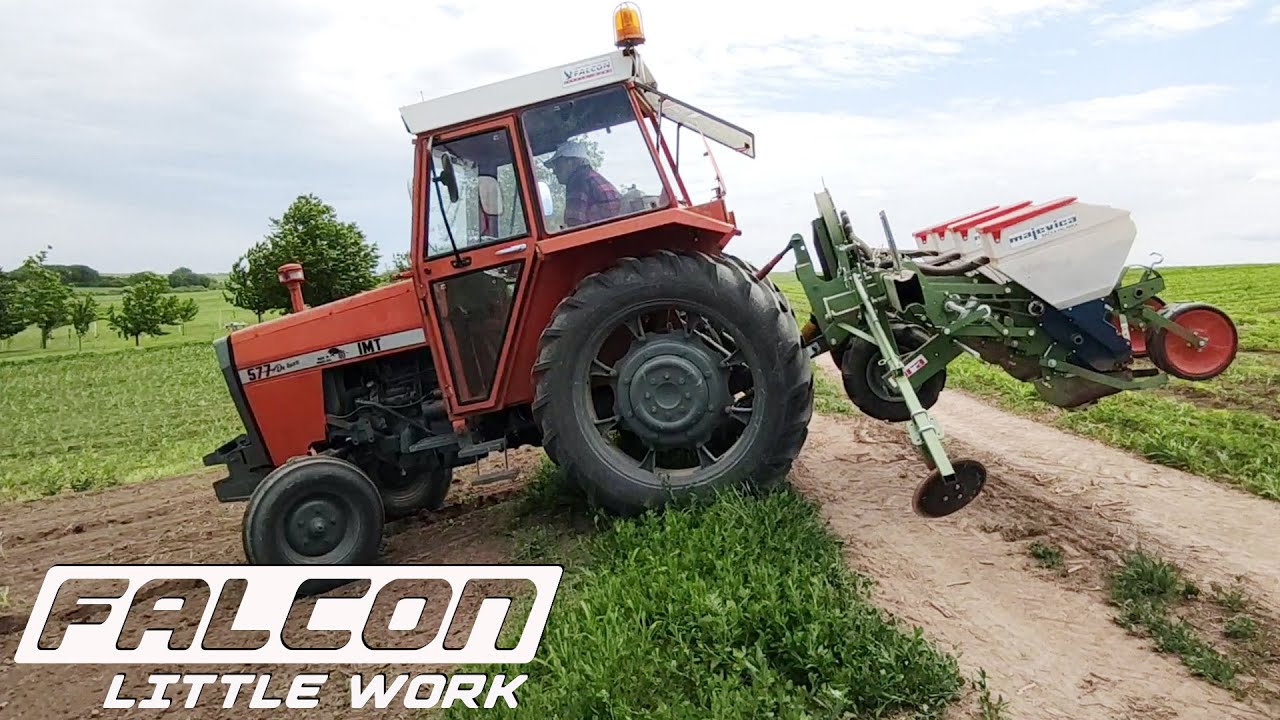 Setva soje 28. Maj - IMT 577 -LARA Majevica - MAESTRAL (000) Selsem DELTA AGRAR