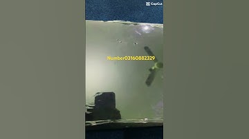 Think pad i7(7genriton)8gb.ram 256ssd #laptop #answer #smartphone #windows #funny #dell #hp #compute