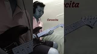 Video thumbnail of "Cervecita - Los Shapis (Cover/Guitarra/Cumbia)"