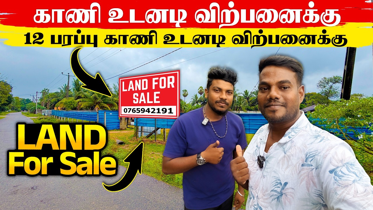 காணி விற்பனைக்கு | 12 பரப்பு காணி உடனடி விற்பனைக்கு | Land For Sale | Thanuran Vlogs