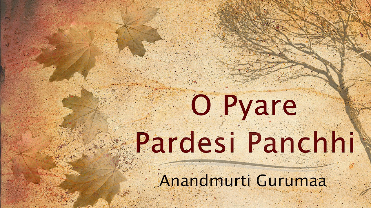 O Pyare Pardesi Panchhi