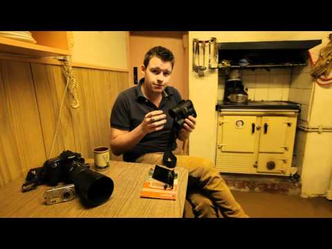 Comment regarder Film aperçu faune aux