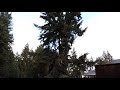 Windstorm British Columbia 2018 