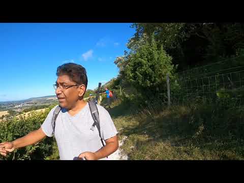 North Downs in Kent ( Blue Bell Hill Walk Highlights) on 01 Aug 2020