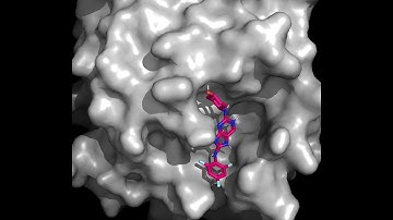 Accelerating Drug Discovery with Clara Discovery