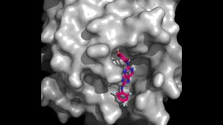 Accelerating Drug Discovery with Clara Discovery's MegaMolBart