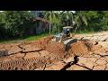 Big Fantastic Construction Machinery in Activity Shantui Dh17C3 Showing Skill Pushing Dirt