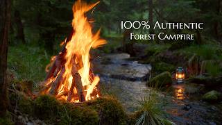 4K 📺 100% Authentic Forest Campfire 🔥Lighting a Fire & Adding Wood