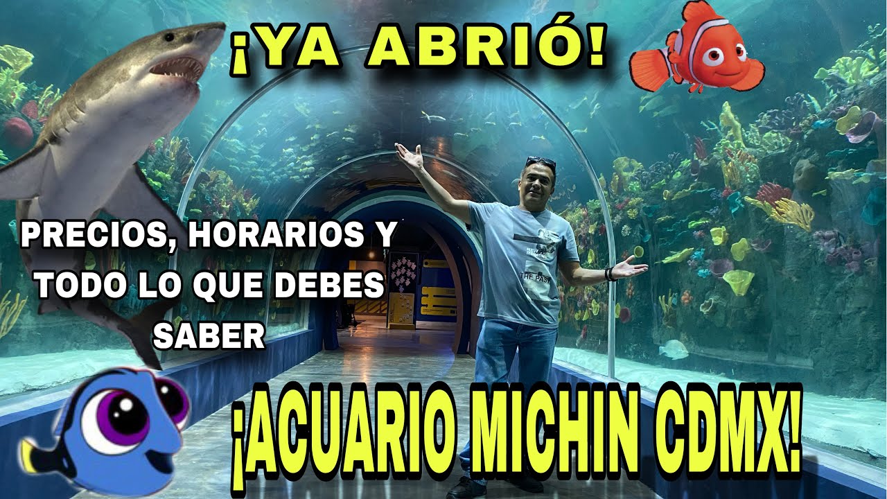 Ya abrió! 😲Así es el ACUARIO MICHIN CDMX en parque Tepeyac, TODO LO QUE ...