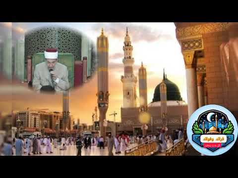 الشيخ نور الدين عتر هل يلزم من صحة الإسناد صحة المتن دروس دينية في الأزهر الشريف مصر