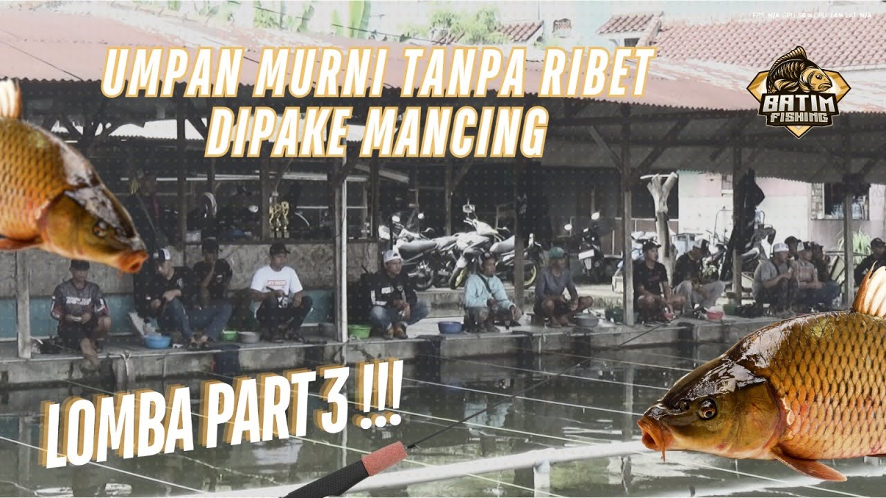 MAIN UMPAN MURNIAN DI PEMANCINGAN LOMBA TANPA RIBET !! HAMPIR JADI JUARA