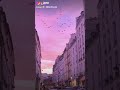 وياك اكون او لا اكون