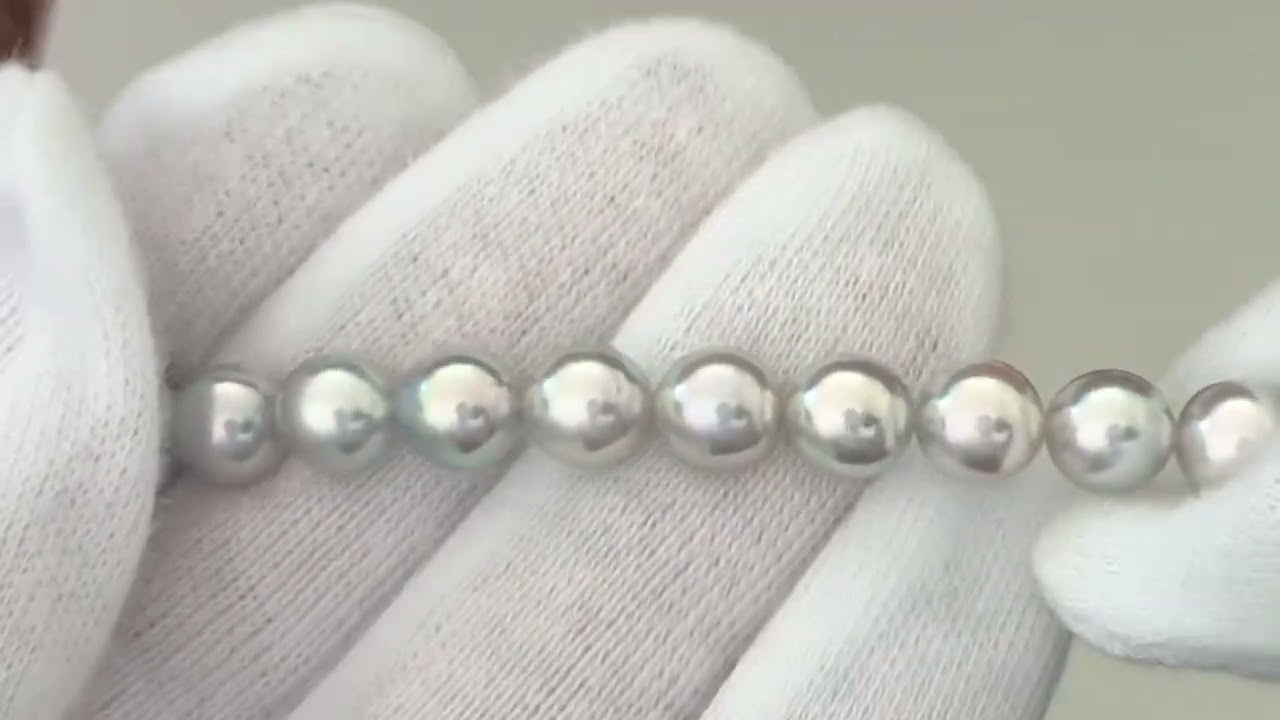 ナチュラルグレーパールアコヤ6.5-7.0mm TOP ELEGANT ｜ 真珠 