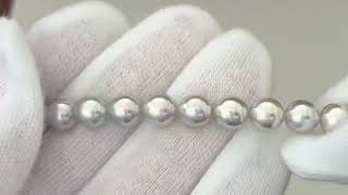 ナチュラルグレーパールアコヤ6.5-7.0mm TOP ELEGANT ｜ 真珠