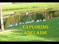 Exploring Adelaide