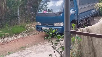 kinh nghiêm úm cút con ko chết