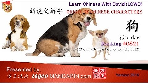 Origin of Chinese Characters - 0821 狗 dog - Learn Chinese with Flash Cards