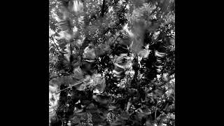 Operandum Linear Thought 3