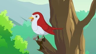 Little Robin Red Breast English Nursery Rhymes English Kids Songs