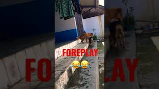 Foreplay Bikin Horny