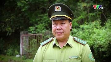 LỰC LƯỢNG KIỂM LÂM TUYÊN QUANG VỚI CÔNG TÁC BẢO VỆ VÀ PHÁT TRIỂN RỪNG (8-6-2023)