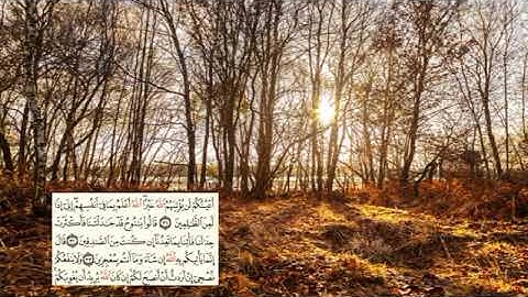 صفحة-225 page سعد الغامدي - -سورة هود -11- (Hud)