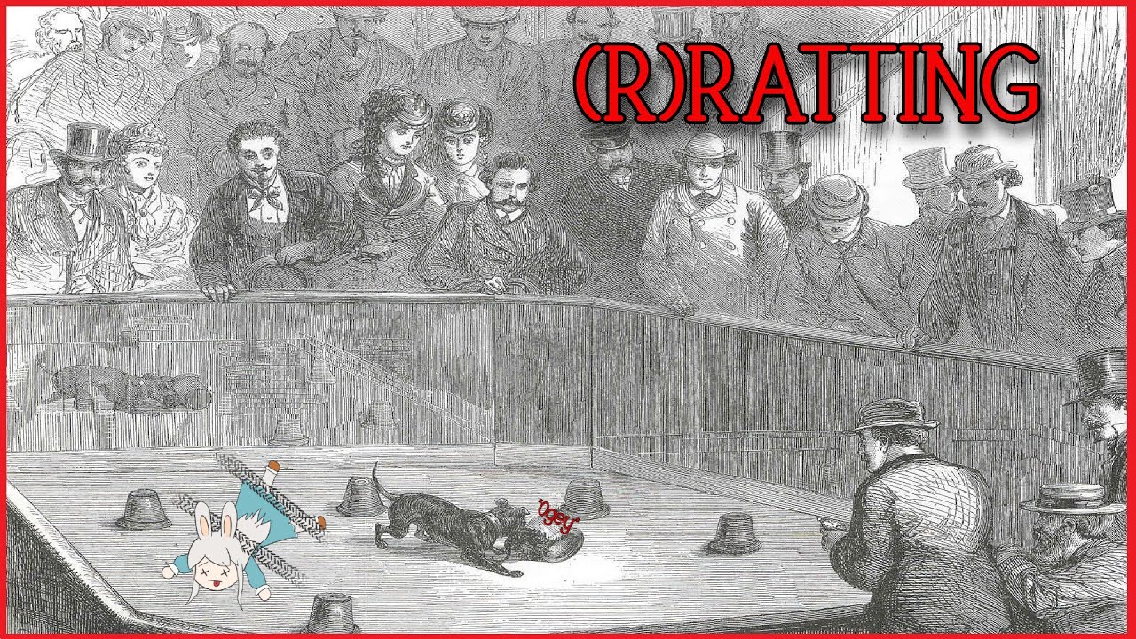 ???REACT???Watching Rat Baiting Videos a.k.a (R)RATting ????????vtuber 