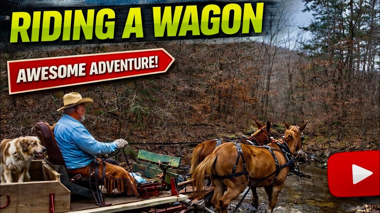Riding a wagon PULLED by MULES- Bringing home my CAMP| NO BRAKES!