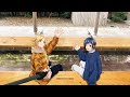 LIP×LIP 2nd Album ULTIMATE BOX限定収録アニメ「はじめての二人っきり旅行」トレーラー