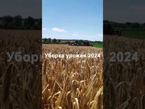 Агрофирма 'Старый Дворец'